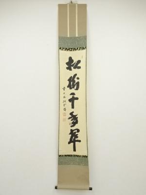 前大徳　藤井誡堂筆　「松樹千年翠」一行書　肉筆紙本掛軸（共箱）